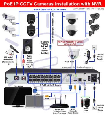 가정용 CCTV, 고양이도 감시할 수 있을까?